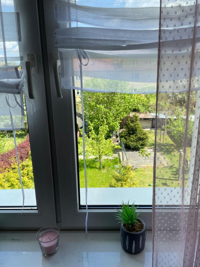 Prestige Apartament Elblag Esterno foto