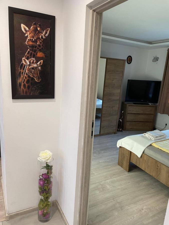 Prestige Apartament Elblag Esterno foto